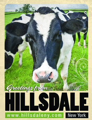 Hillsdale Post Card