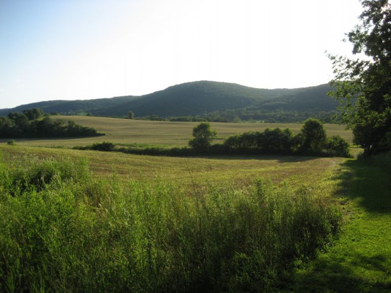 The Roeliff Jansen Park Hillsdale Est. 1788