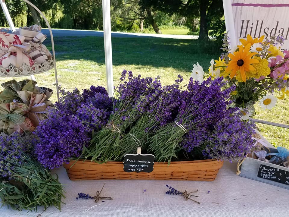 Lavender flowers for sale